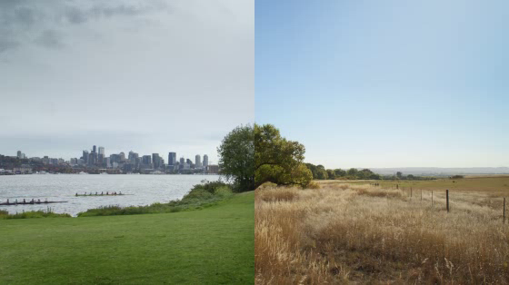 A picture of a river view split in half. On the left side, the grass is vibrant green, there are rowers out on the river, and the far bank boasts a thriving city. On the right side, the grass is brown and dead, the water still, and there is no evidence of people. 