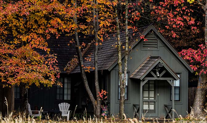 A wooden, cabin style home painted a subtle grey green and nestled into woods with trees showing gold, orange, and red fall leaves. 